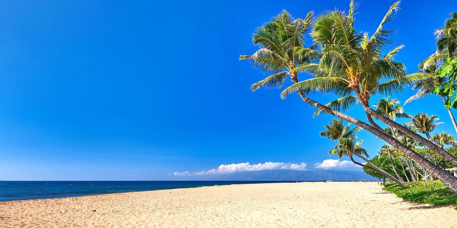 Kbm Resorts Spacious Ocean View 3-Bedroom Honua Kai Collection Multi Unit Listing Same Floor 2 Free Rental Cars Hkk-81216 كانابالي